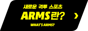 새로운 격투 스포츠 ARMS란?