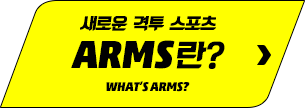 새로운 격투 스포츠 ARMS란?